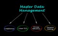 Master Data Management