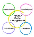 Master Data Management