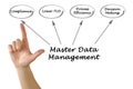 Master Data Management Royalty Free Stock Photo