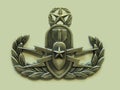 Master EOD Badge Royalty Free Stock Photo