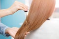 Master hairdresser applies oil to hair care for and restore growth of cuticles woman. Royalty Free Stock Photo