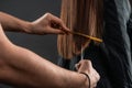 The master hairdresser cuts the ends of the hair of a brunette sitting in a beauty salon Royalty Free Stock Photo