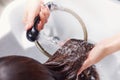 Master hairdresser woman shampooing spa salon hair.