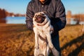 Master holding pug dog in autumn park by river. Man playing with pet. Royalty Free Stock Photo