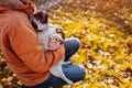 Master holding pug dog in hands in autumn park. Happy puppy looking on man and showing tongue Royalty Free Stock Photo