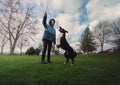 Master holding a stick training his obedient dog outdoors in the park. Well trained healthy border collie pup jumping to catch the