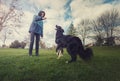 Master holding a stick training his obedient dog outdoors in the park. Well trained healthy border collie pup try to catch the