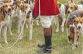 Master of the Hunt standing with his hounds Royalty Free Stock Photo