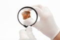 Master inspects spessartine garnets with magnifier