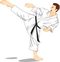 Master of karate (martial art)