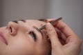 Master makeup corrects, and gives shape to pull out with forceps previously painted with henna eyebrows in a beauty salon