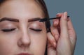 Master makeup corrects, and gives shape to pull out with forceps previously painted with henna eyebrows in a beauty salon.
