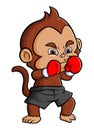 The master monkey is doing the boxing with the good gloves