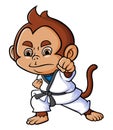 The master monkey is doing the karate with the super power Royalty Free Stock Photo