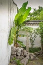 Master of Nets Garden detail, Suzhou, China Royalty Free Stock Photo