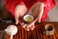 Master offering cup of brewed tea during traditional ceremony at table, closeup Royalty Free Stock Photo