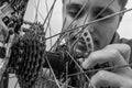 Master repairs bicycle in bicycle repair shop