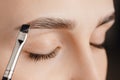 Master tinting of eyebrow hair women, brow correction Royalty Free Stock Photo