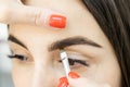 Master tinting of eyebrow hair women, brow correction Royalty Free Stock Photo