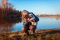 Master walking pug dog in autumn park by river. Happy woman hugging and feeding pet. Royalty Free Stock Photo