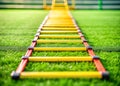 Mastering Agility A CloseUp Look at Ladder Drills for Explosive Speed and Enhanced Performance