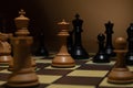 Mastering Chess: Strategy, Tactics, Practice Royalty Free Stock Photo