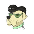 Mastiff. Big breed dogs. Hipster rockabilly Vector illustration. Vector logo pure-bred retro style.