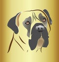 Mastiff dog head on gold background Royalty Free Stock Photo