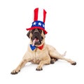 Mastiff Fourth of July Hat and Tie Royalty Free Stock Photo