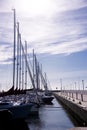 Masts of many sailing boats and yachts Royalty Free Stock Photo