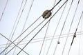 Masts and rope of sailing ship. Royalty Free Stock Photo