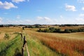 Masuria field near Olecko, Poland Royalty Free Stock Photo