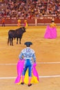 Matador and bull in bullfighting at Madrid