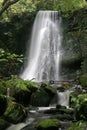 Matai falls 11