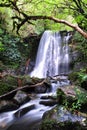 Matai falls