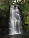 Matai falls Royalty Free Stock Photo