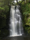 Matai falls