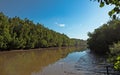 Matang Mangrove Forest Reserve