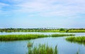 Matanzas River tidal marsh and Vilano Causeway in St. Augustine Florida Royalty Free Stock Photo