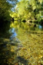 Mataura River2 Royalty Free Stock Photo