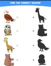 vector illustration finding the correct shadow wild animals eagle owl giraffe bear