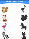 vector illustration finding the correct shadow wild animals squirrel fox flamingo zebra