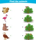 Finding Hiding Animals Child Exercise Sheet squirrel flamingo bear eagle