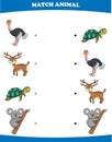 Education game for children connect the same picture of cute cartoon wild animal ostrich deer turtle koala