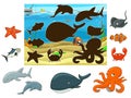 Match the animals and fish to their shadows