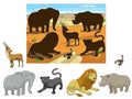 Match the animals to their shadows child game Royalty Free Stock Photo