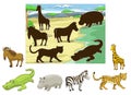 Match animals to their shadows educational game