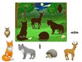 Match the animals to their shadows Royalty Free Stock Photo