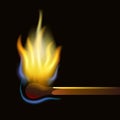 Match burning Royalty Free Stock Photo