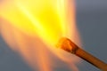Match bursting to flame close up Royalty Free Stock Photo